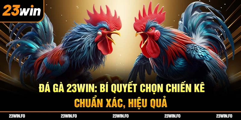 Bí quyết chọn kiến kê hiệu quả
